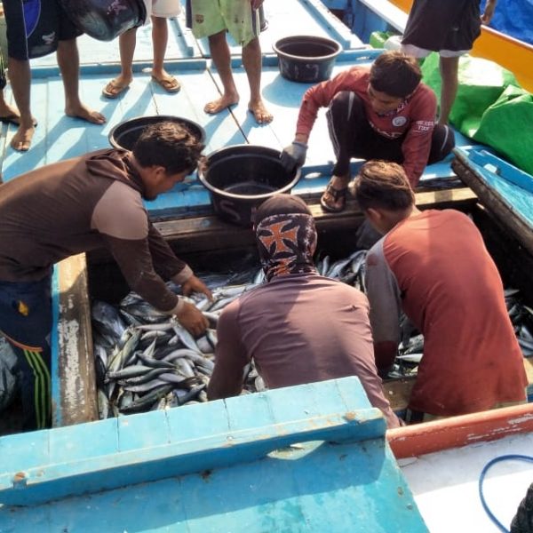 Teluk Awang Pusat Industri Perikanan Lombok Versi Mahasiswa Ilmu